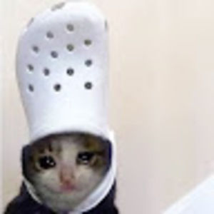 Meet your Posher, Thien-kim